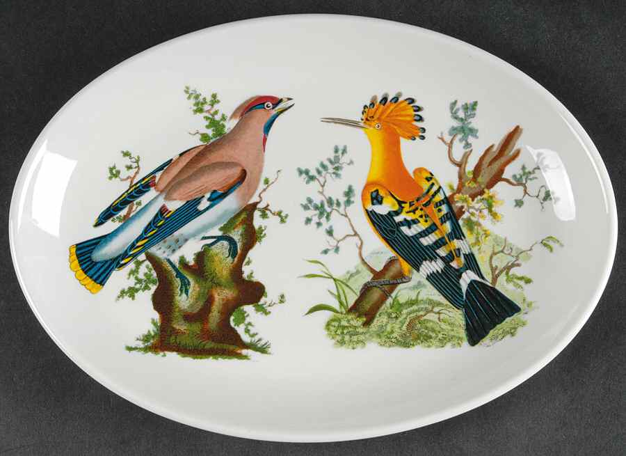 Birds of Britain 10" Oval Steak Platter by Portmeirion-1