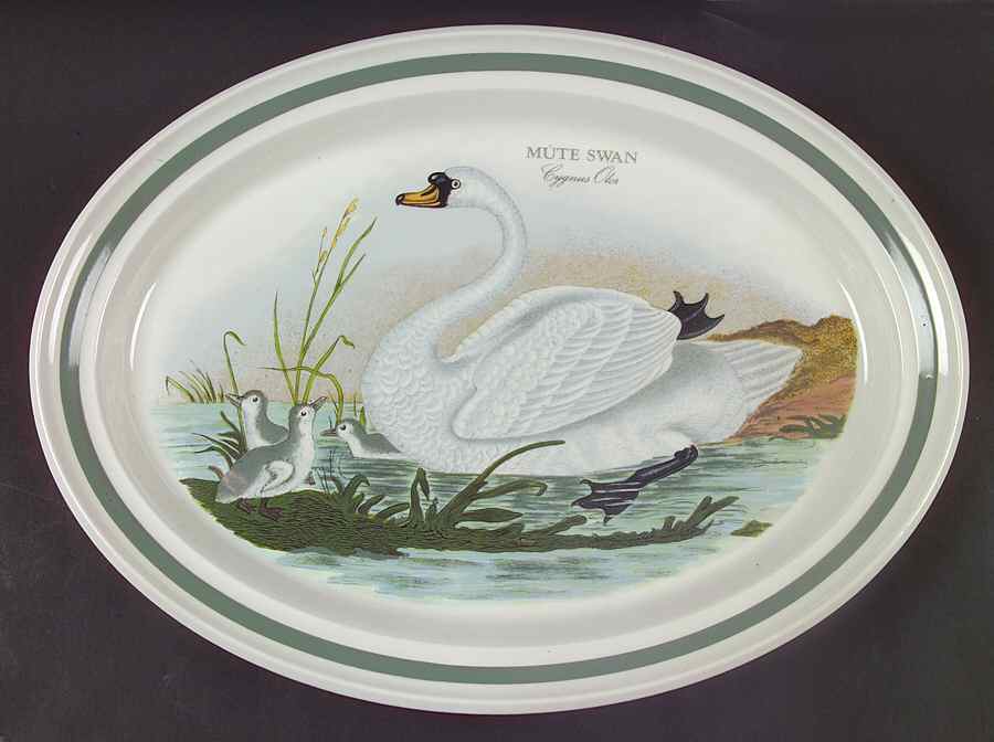 Birds of Britain 15" Oval Serving Platter with Green Band by Portmeirion-1
