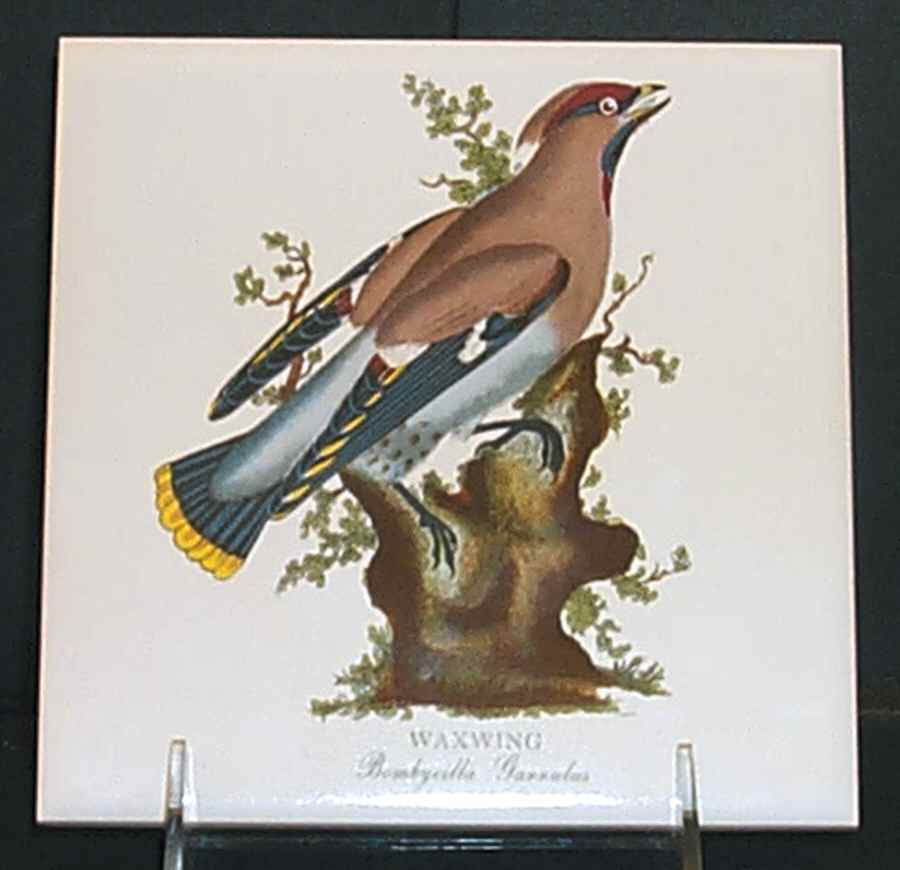 Birds of Britain 6" Individual Ceramic Tile Insert by Portmeirion-1