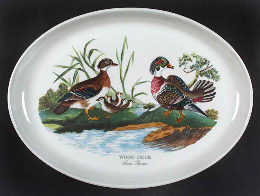 Birds of Britain 14" Oval Steak Platter by Portmeirion-1
