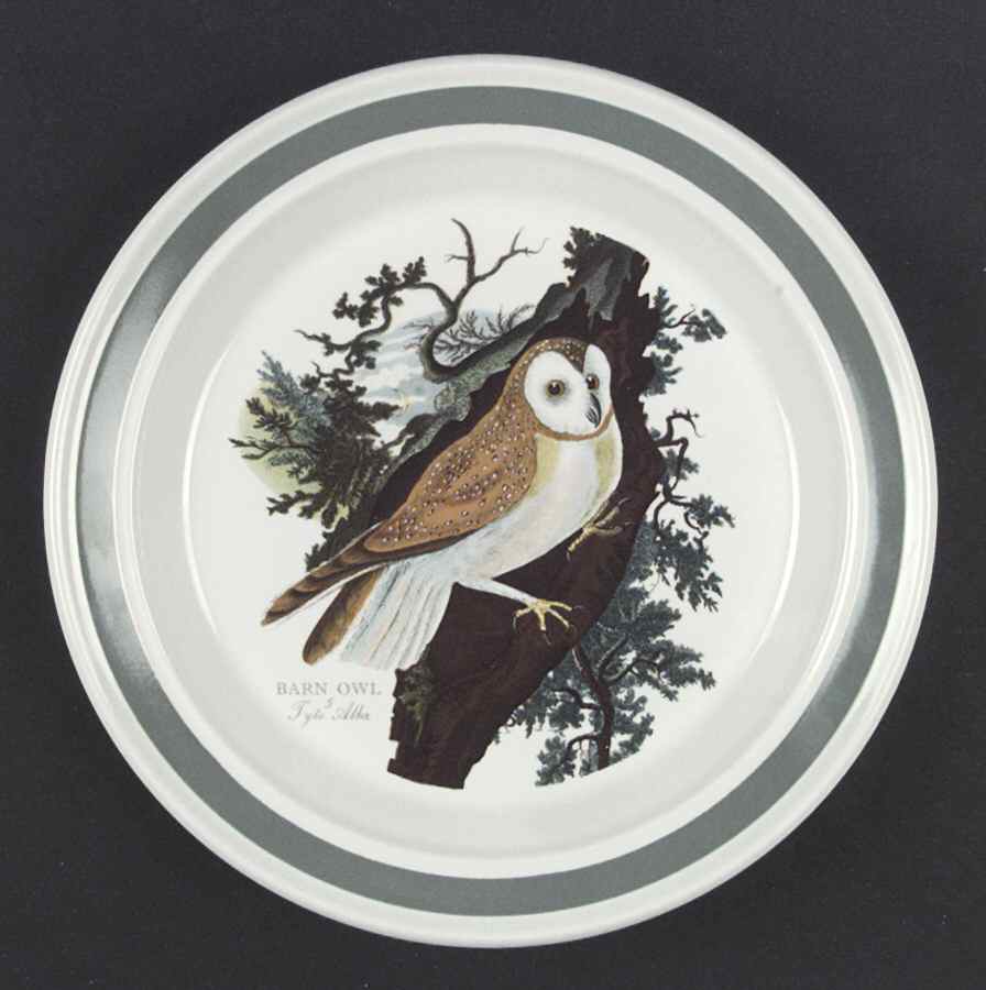 Birds of Britain Dinner Plate with Green Band by Portmeirion-1