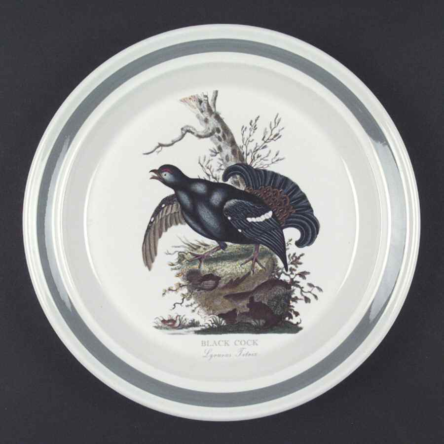 Birds of Britain Dinner Plate with Green Band by Portmeirion-1