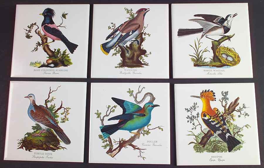 Birds of Britain 6" Individual Ceramic Tile Insert - Set of 6 by Portmeirion-1