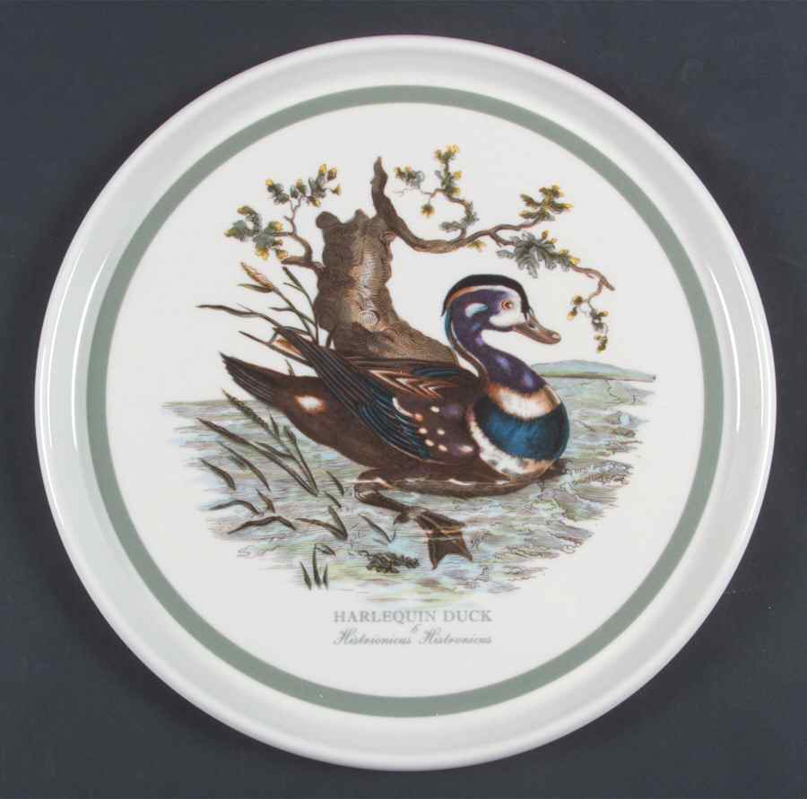 Birds of Britain 10" Pizza Plate with Green Band by Portmeirion-1