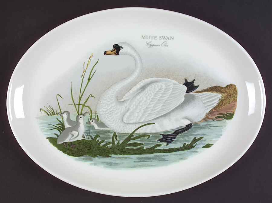 Birds of Britain 14" Oval Steak Platter by Portmeirion-1