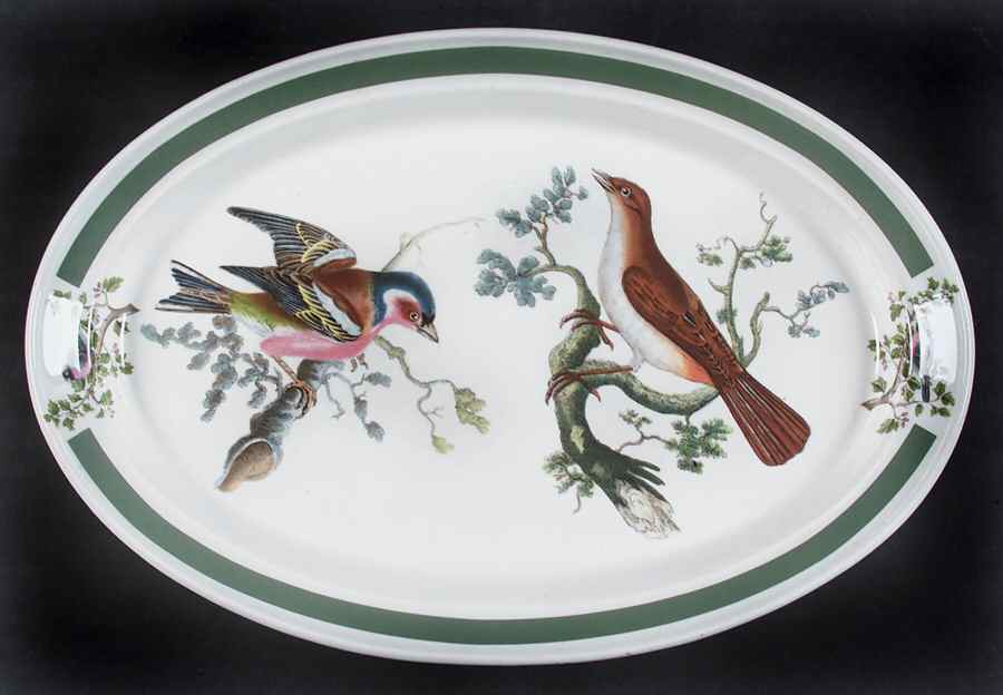 Birds of Britain 10" Oval Steak Platter with Green Band by Portmeirion-1