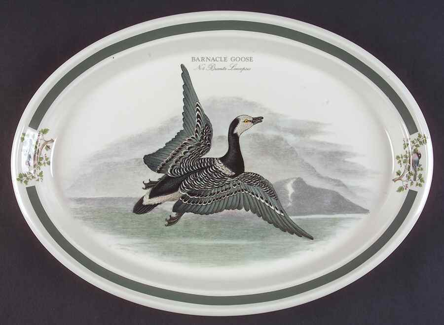 Birds of Britain 13" Oval Steak Platter by Portmeirion-1