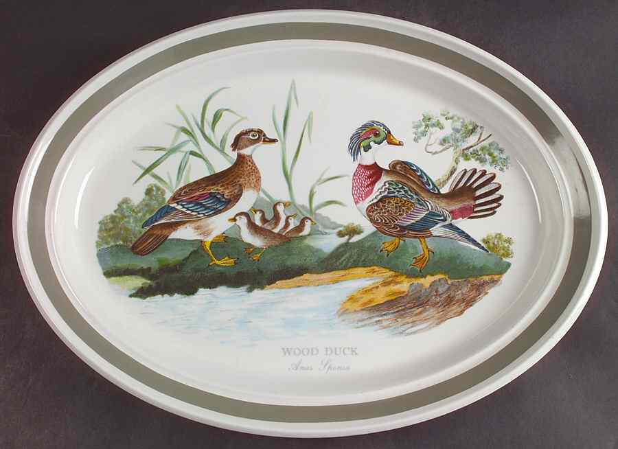 Birds of Britain 15" Oval Serving Platter with Green Band by Portmeirion-1