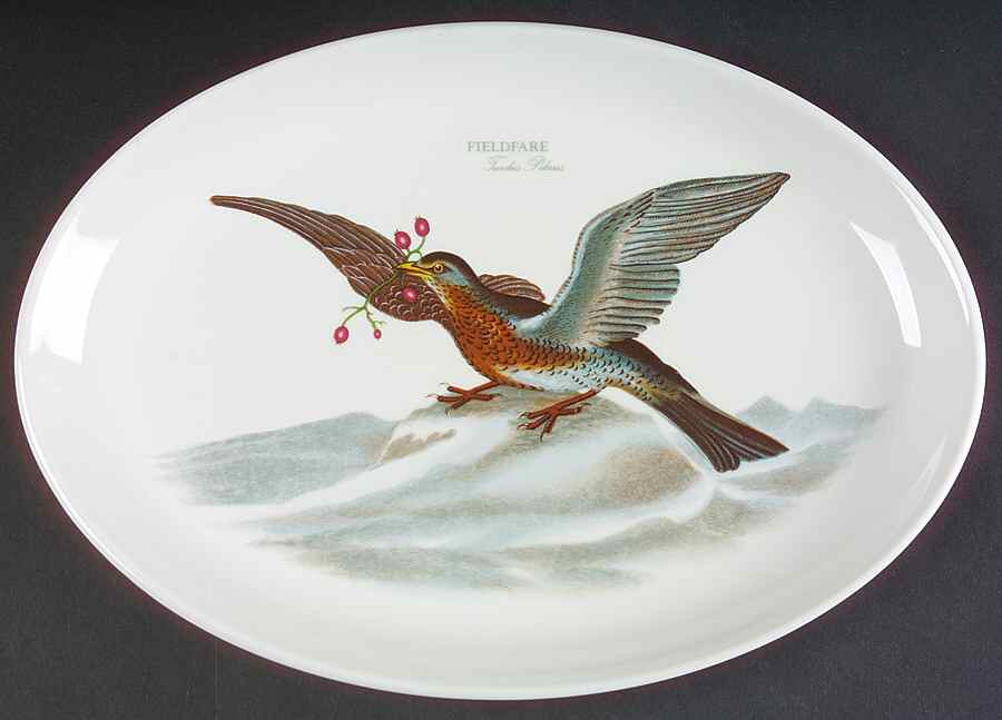 Birds of Britain 13" Oval Steak Platter by Portmeirion-1