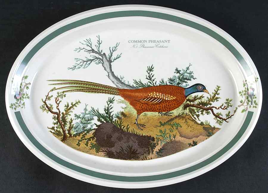 Birds of Britain 13" Oval Steak Platter by Portmeirion-1