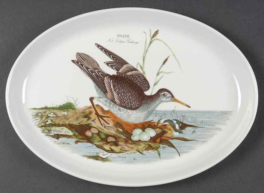 Birds of Britain 13" Oval Steak Platter by Portmeirion-1