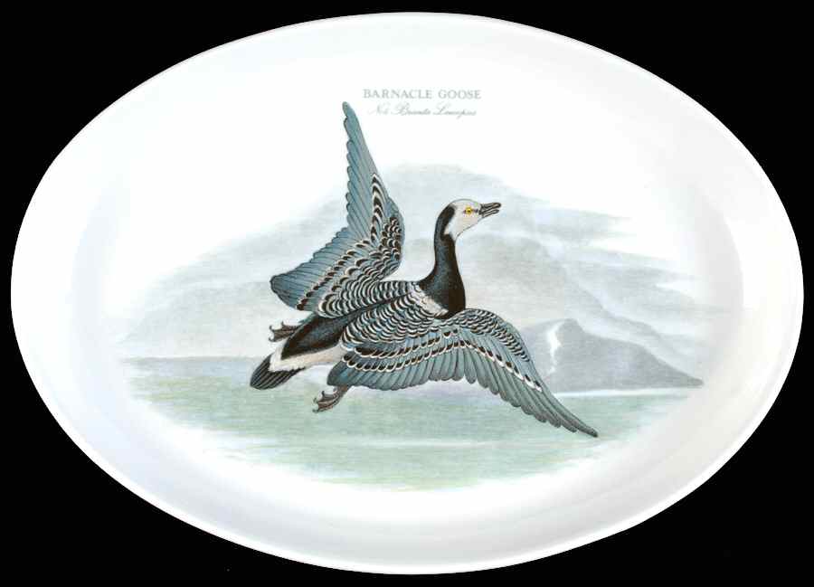 Birds of Britain 13" Oval Steak Platter by Portmeirion-1