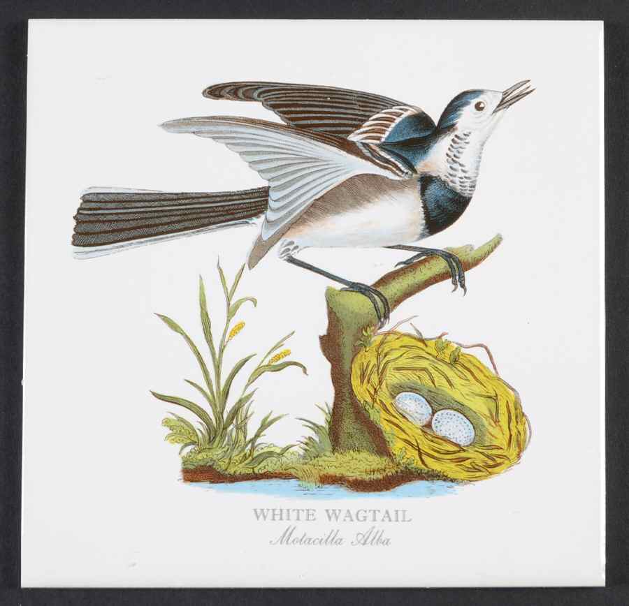 Birds of Britain 6" Individual Ceramic Tile Insert by Portmeirion-1