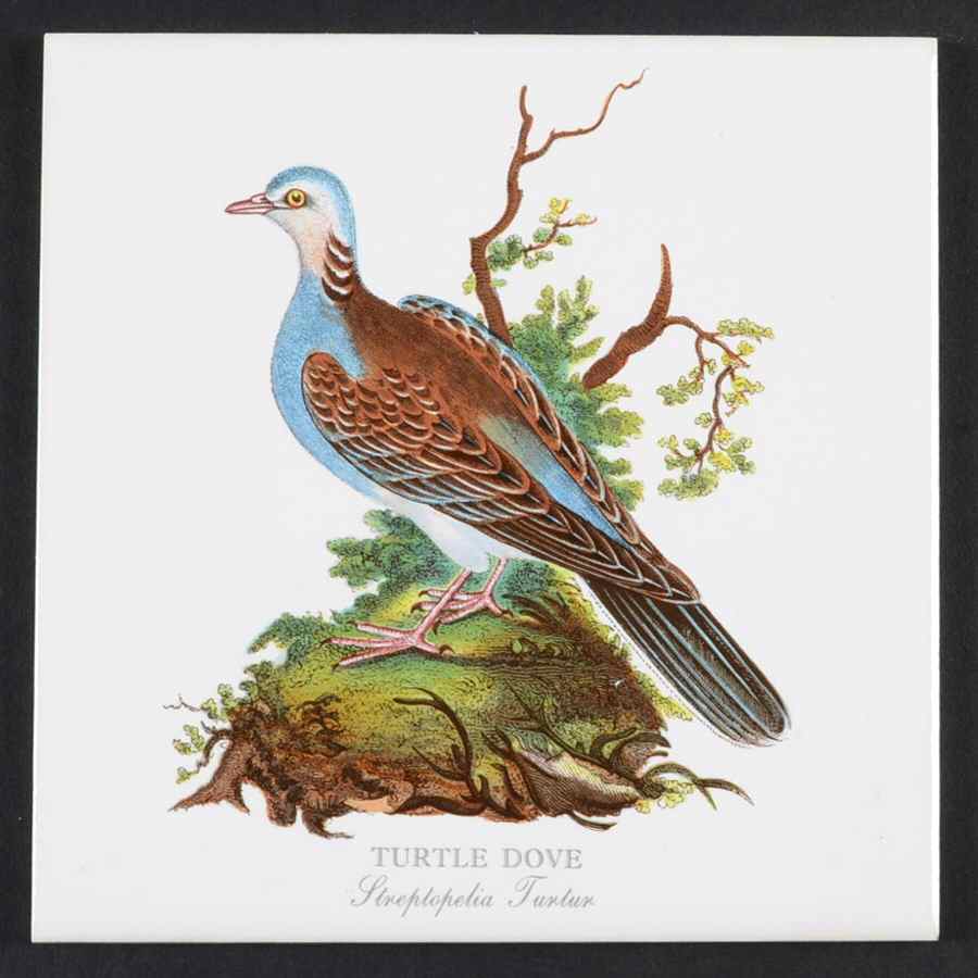 Birds of Britain 6" Individual Ceramic Tile Insert by Portmeirion-1