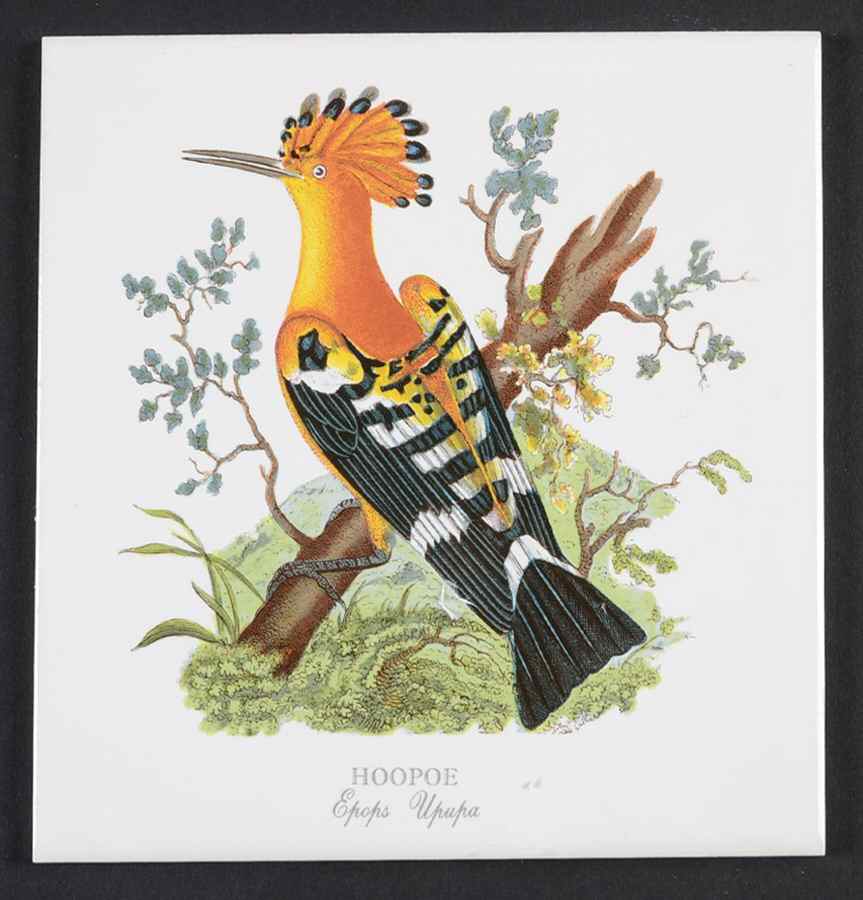 Birds of Britain 6" Individual Ceramic Tile Insert by Portmeirion-1