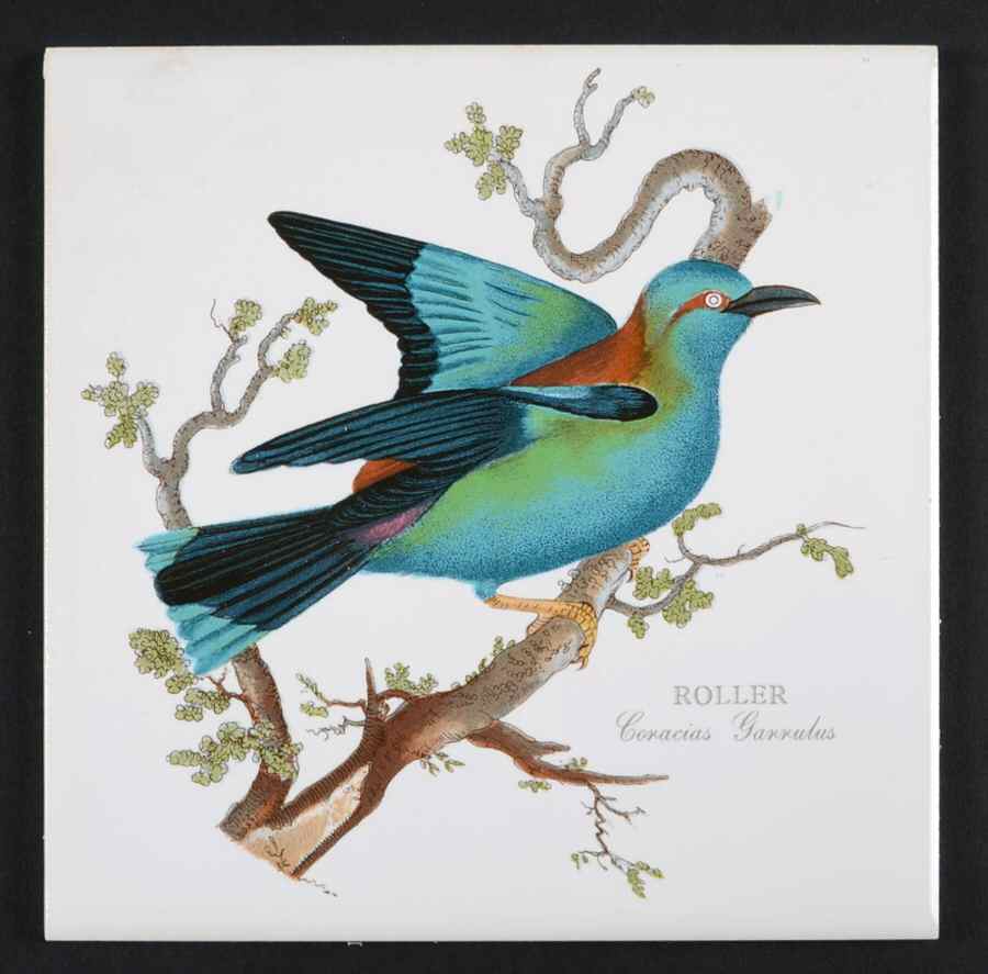 Birds of Britain 6" Individual Ceramic Tile Insert by Portmeirion-1