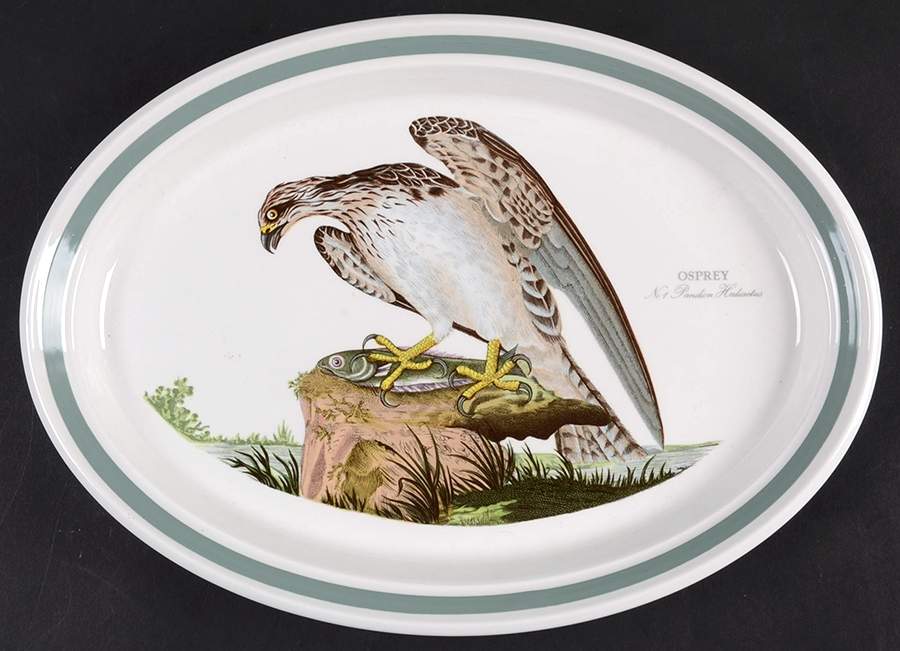 Birds of Britain 13" Oval Steak Platter by Portmeirion-1
