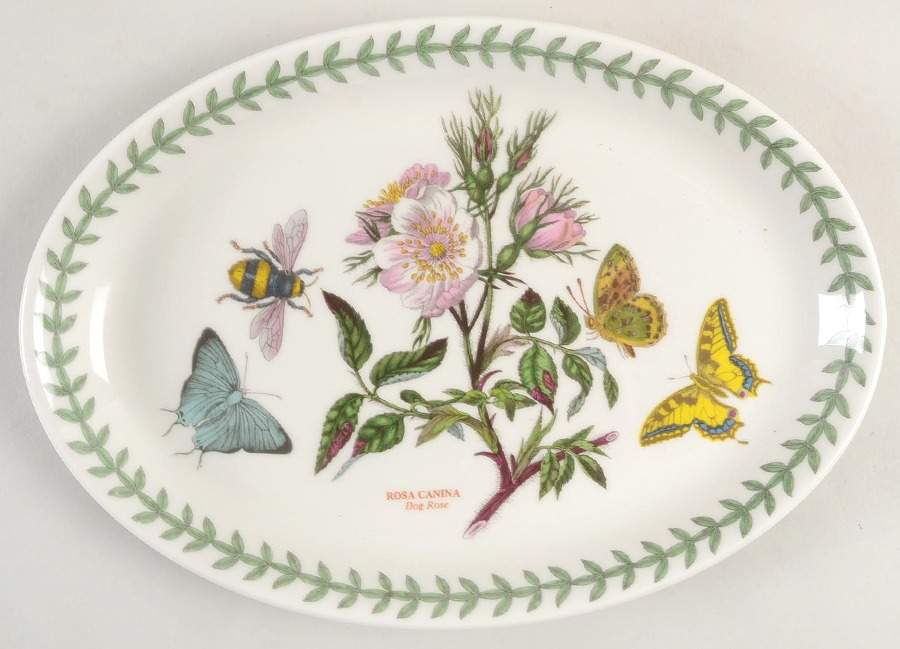 Botanic Garden 10" Oval Steak Platter by Portmeirion-1