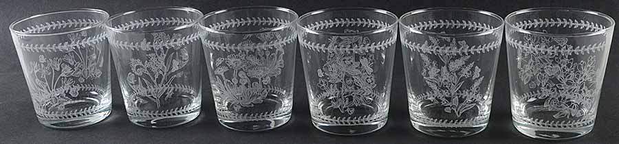 Botanic Garden (Set of 6) 8 Oz Etched Flared Glassware Tumblers by Portmeirion-1