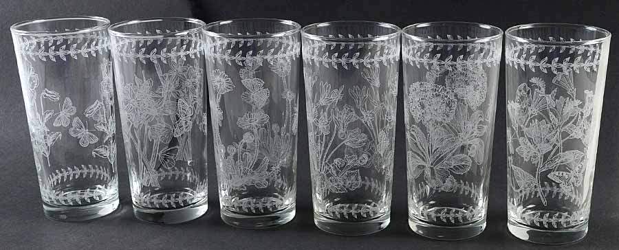 Botanic Garden (Set of 6) 14oz Etch Glassware Highballs by Portmeirion-1