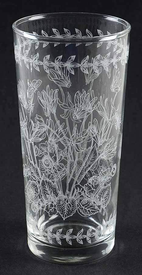 Botanic Garden 14 Oz Etch Glassware Highball by Portmeirion-1