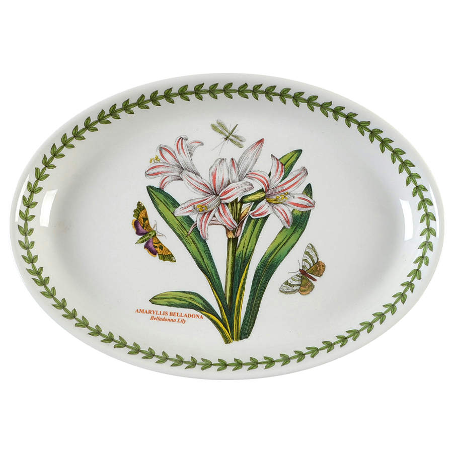 Botanic Garden 10" Oval Steak Platter by Portmeirion-1