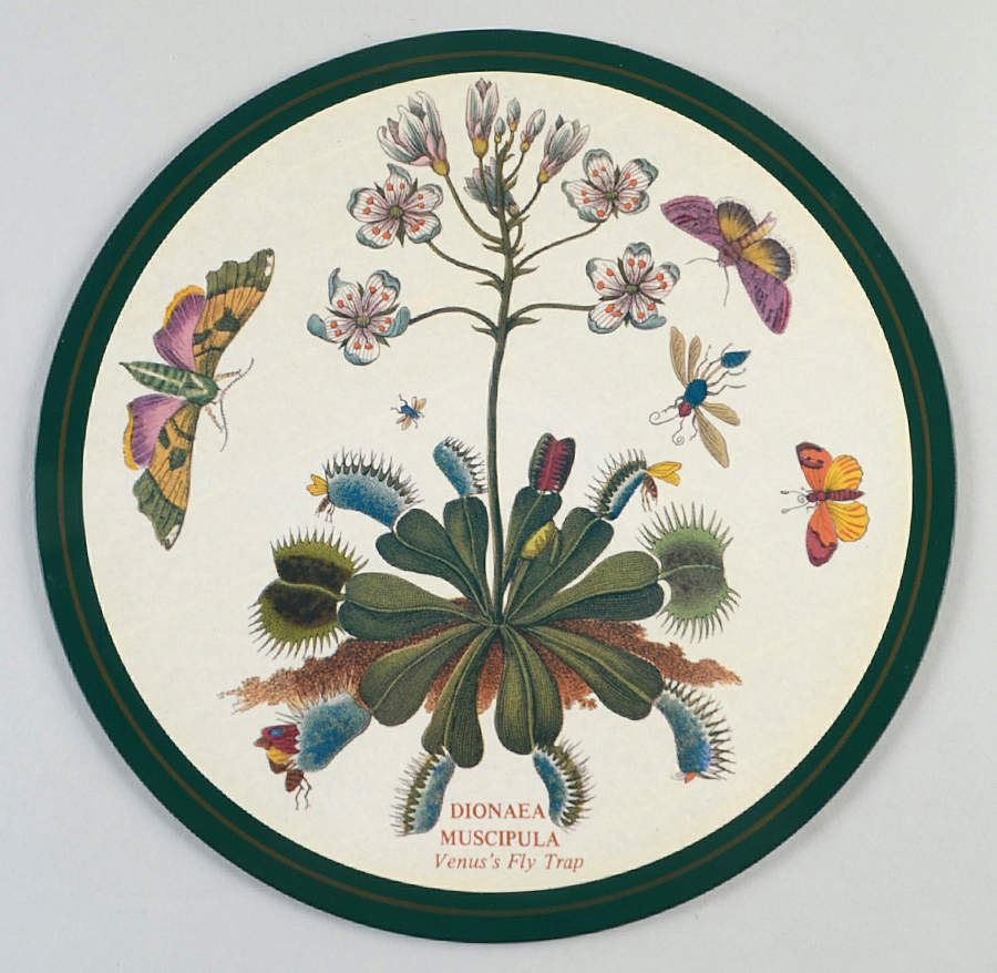 Botanic Garden Round Placemat with Cork Back by Portmeirion-1