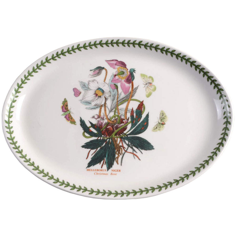 Botanic Garden 13" Oval Steak Platter by Portmeirion-1