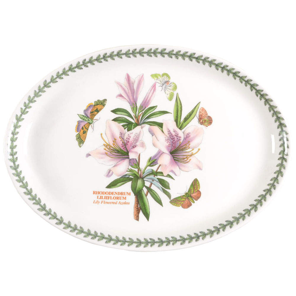 Botanic Garden 13" Oval Steak Platter by Portmeirion-1