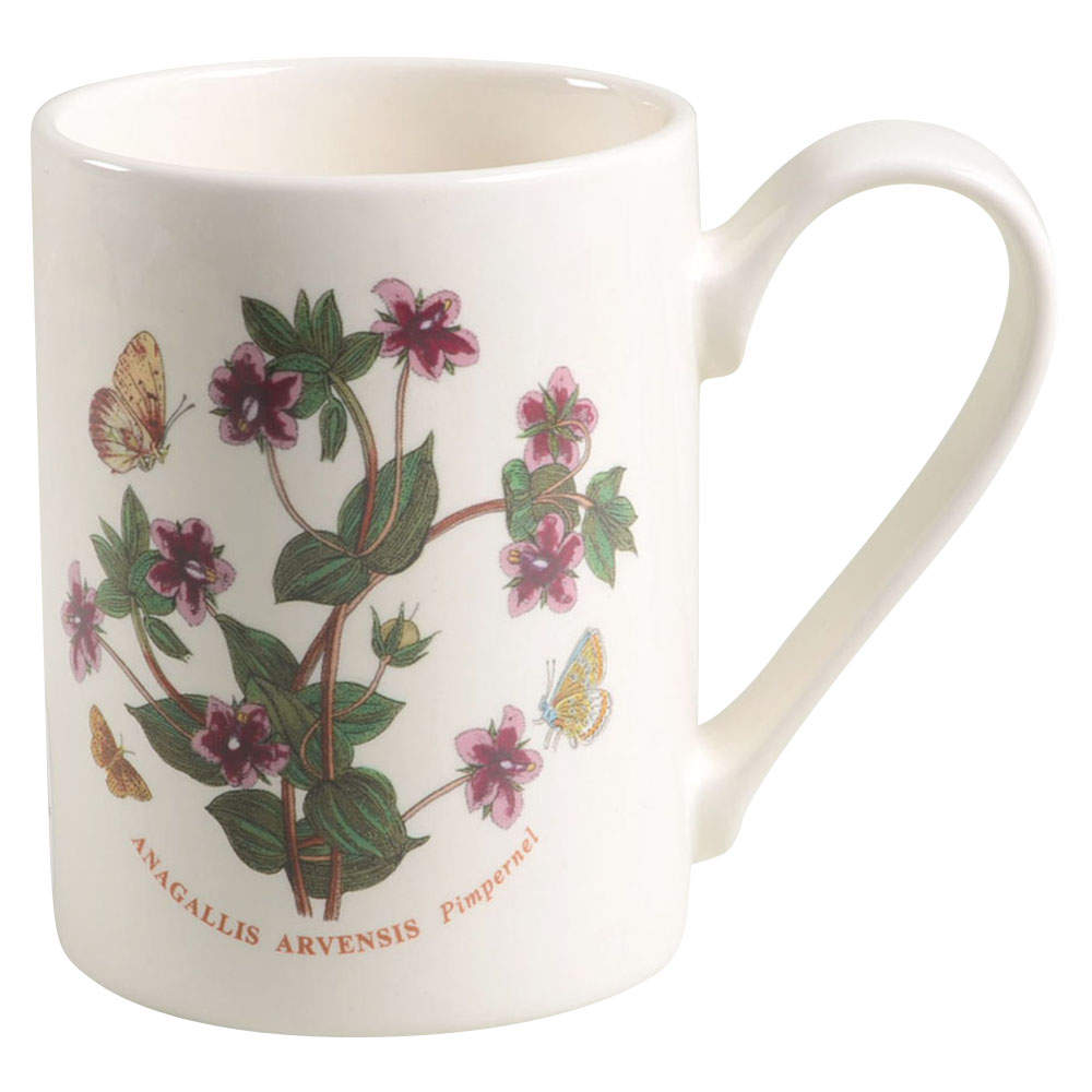 Botanic Garden Mug by Portmeirion-1