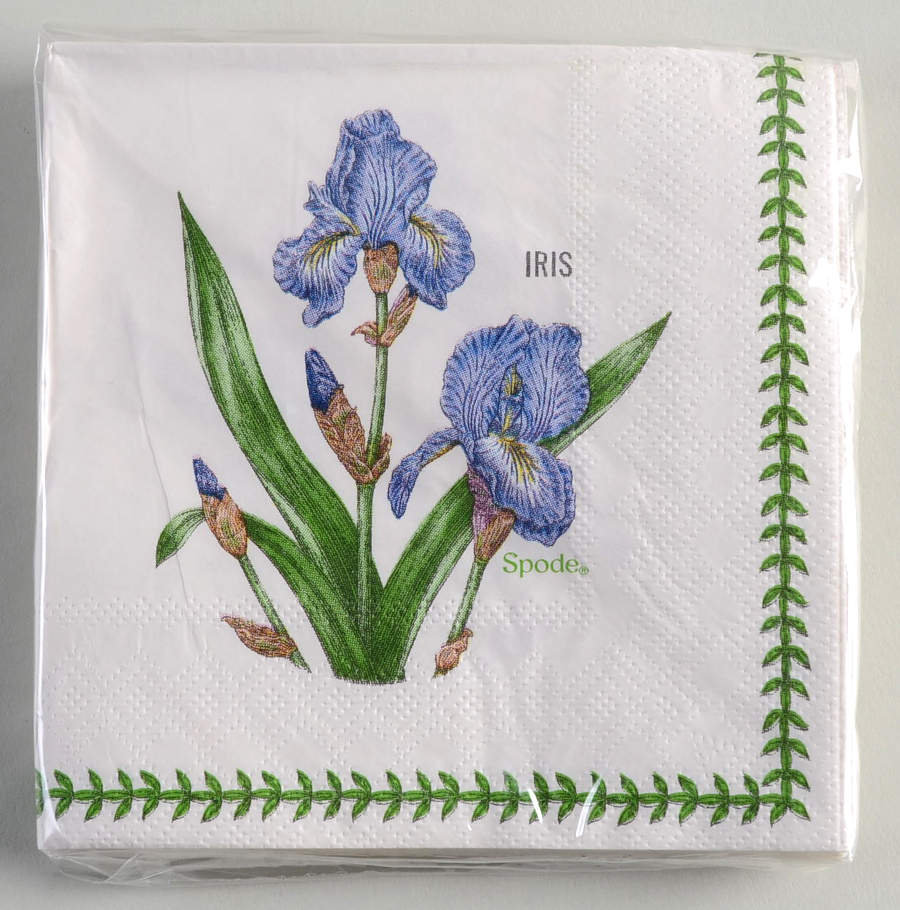 Botanic Garden Package of Paper Beverage Napkins by Portmeirion-1