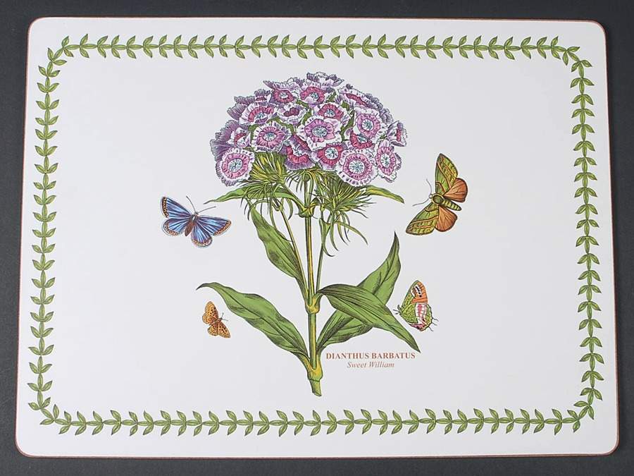 Botanic Garden Corkboard Placemat by Portmeirion-1