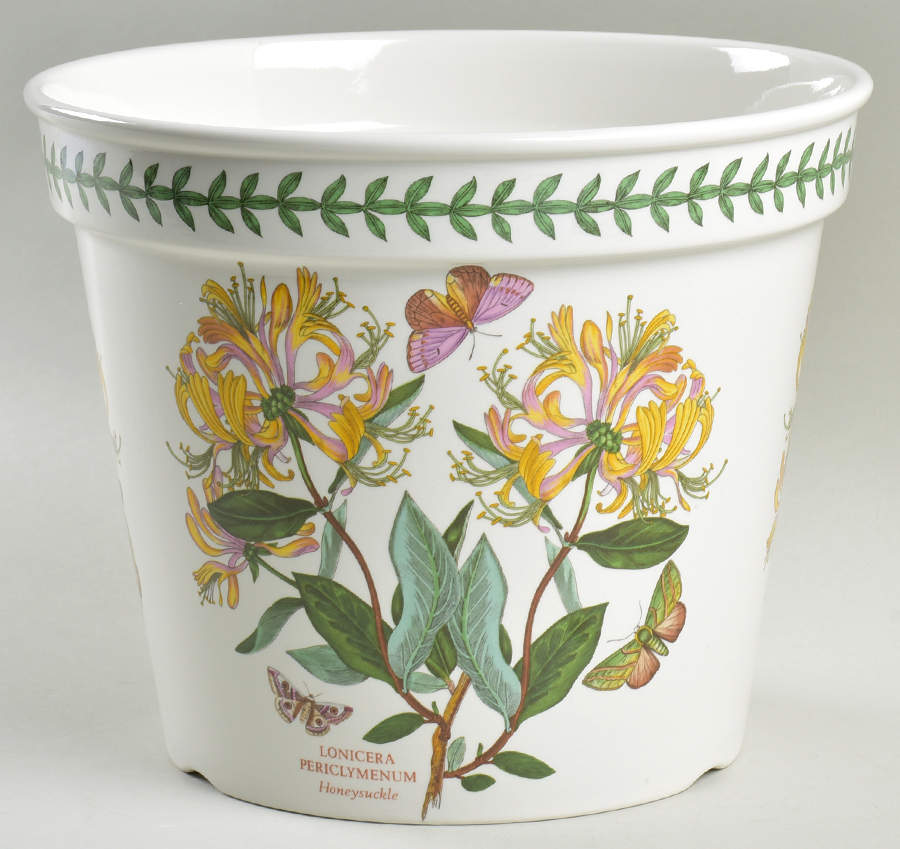 Botanic Garden 7" Flower Pot with Drain Hole by Portmeirion-1