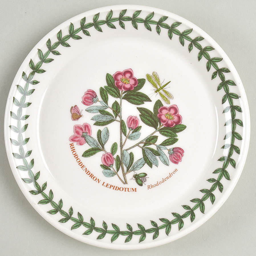 Botanic Garden Small Bread & Butter Plate by Portmeirion-1