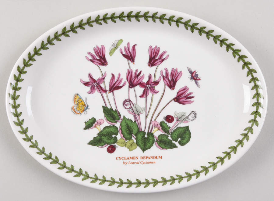 Botanic Garden 9" Oval Steak Platter by Portmeirion-1