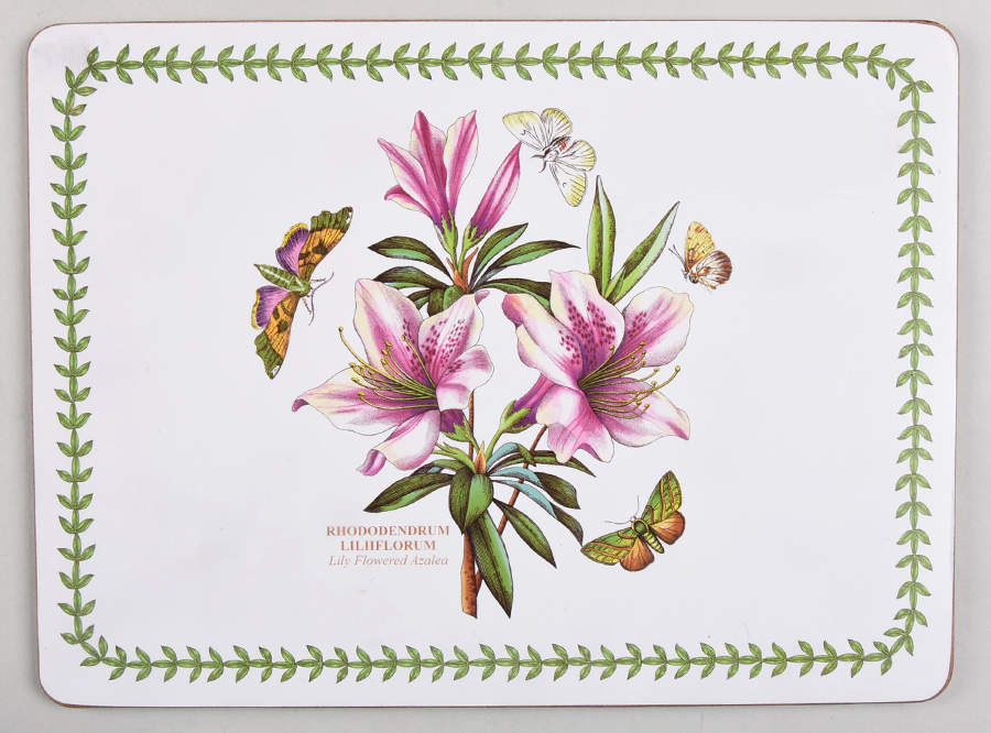 Botanic Garden Small Corkboard Placemat by Portmeirion-1