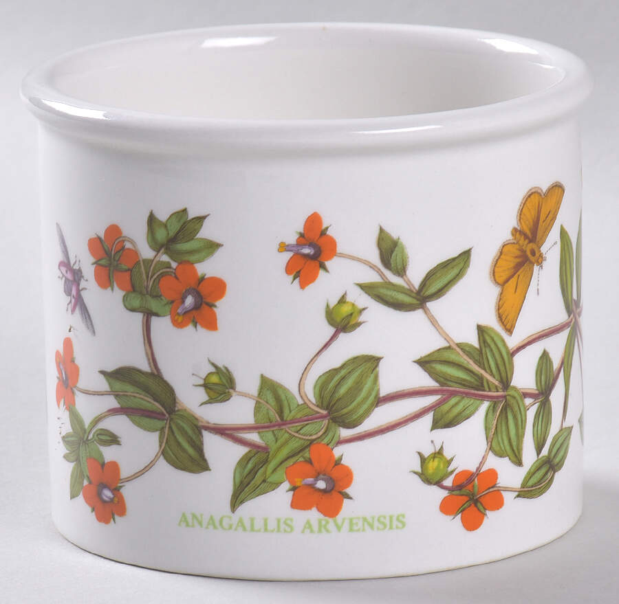 Botanic Garden 3" Planter Pot by Portmeirion-1