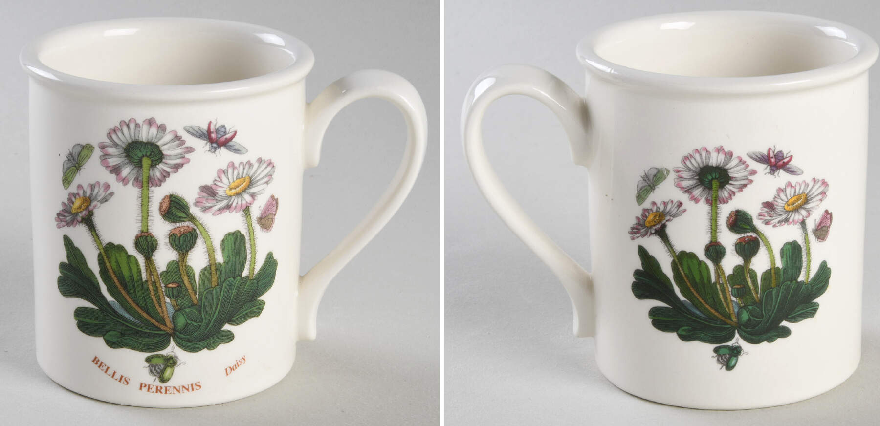 Botanic Garden Breakfast Mug by Portmeirion-1