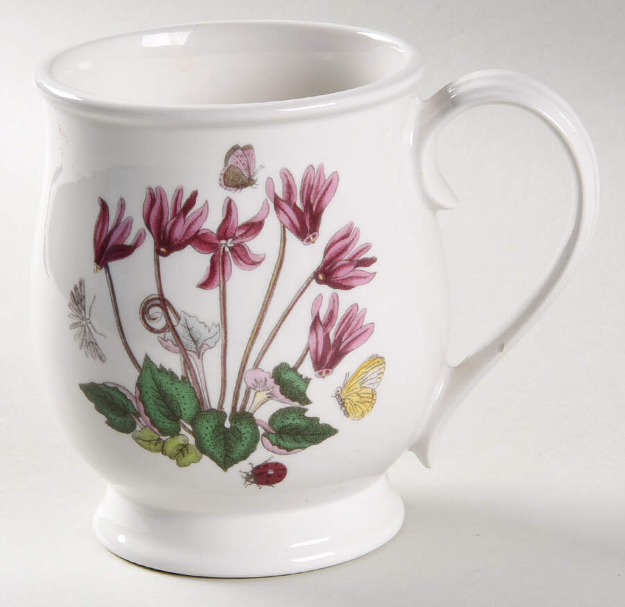 Botanic Garden Bristol Mug by Portmeirion-1