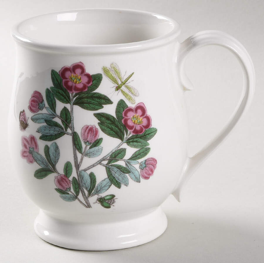Botanic Garden Bristol Mug by Portmeirion-1
