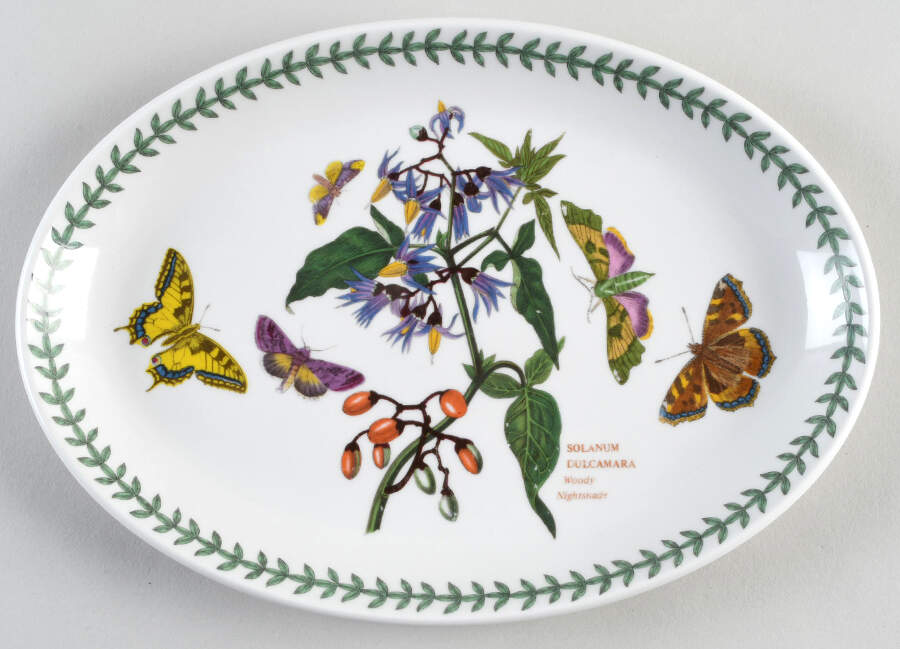 Botanic Garden 10" Oval Steak Platter by Portmeirion-1