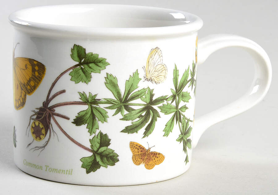Botanic Garden Drum Flat Cup by Portmeirion-1