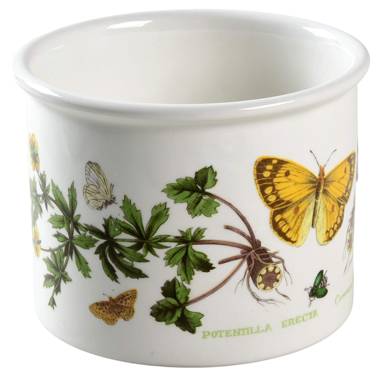 Botanic Garden 4" Storage Jar No Ceramic Lid by Portmeirion-1