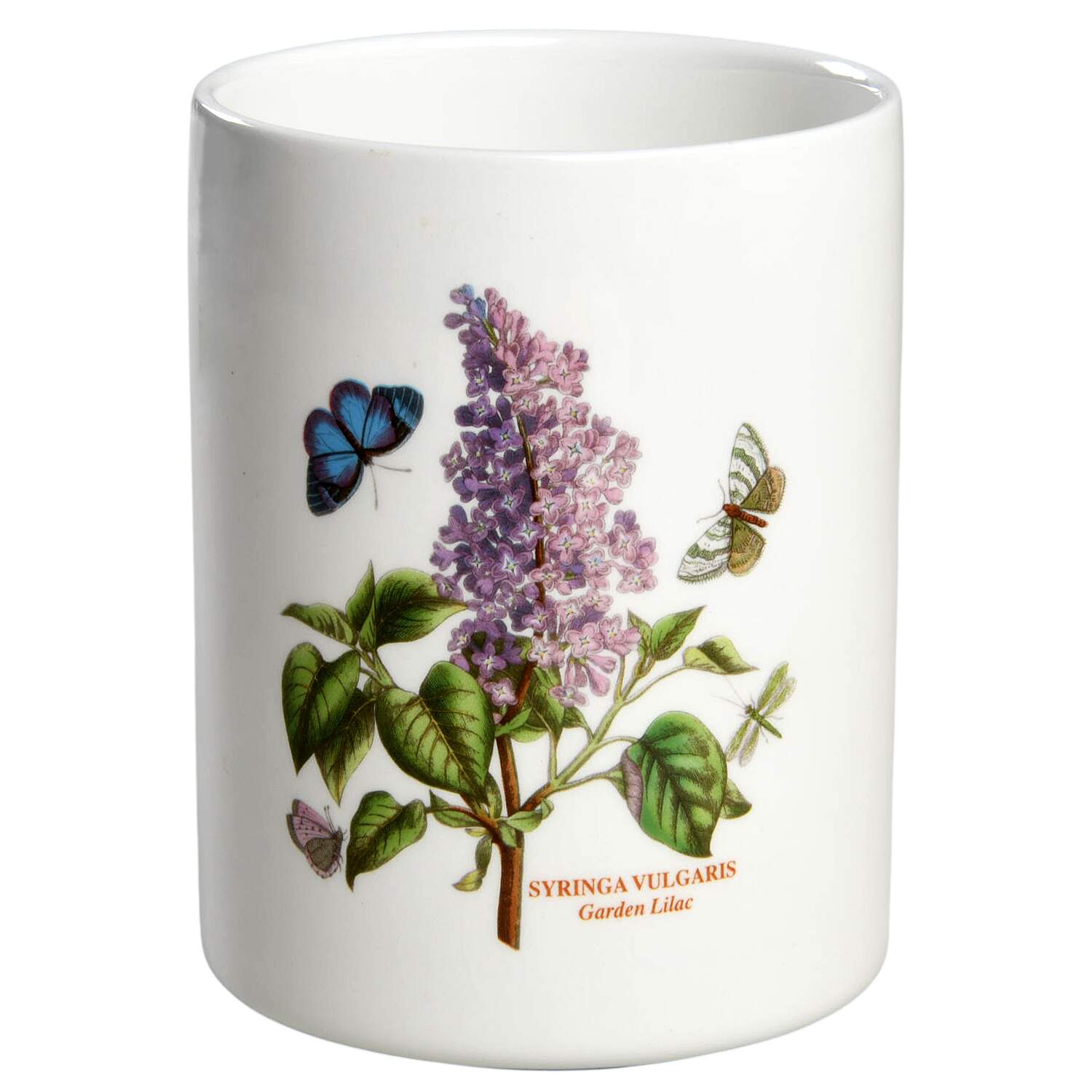 Botanic Garden 5" Storage Jar No Lid by Portmeirion-1