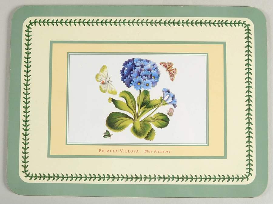 Botanic Garden Small Green Border Corkboard Placemat by Portmeirion-1