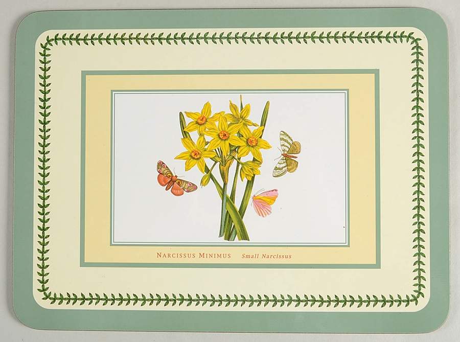 Botanic Garden Small Green Border Corkboard Placemat by Portmeirion-1