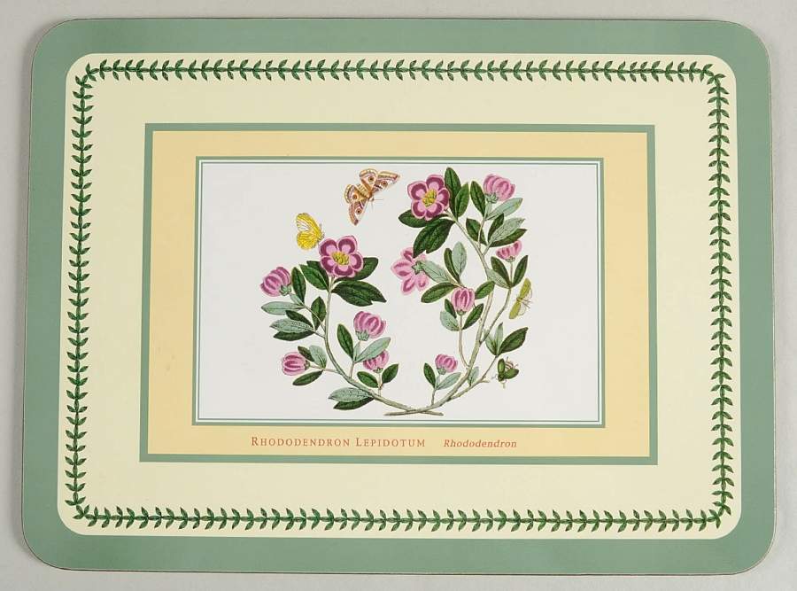 Botanic Garden Small Green Border Corkboard Placemat by Portmeirion-1