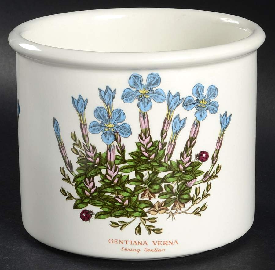 Botanic Garden 5" Planter Pot by Portmeirion-1