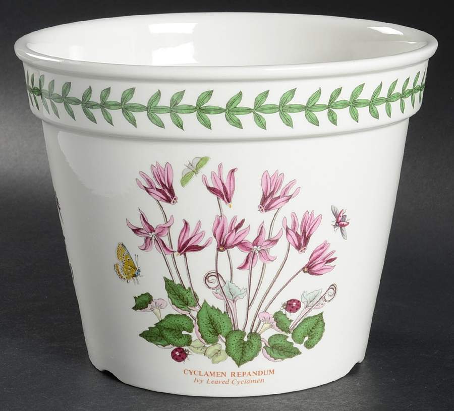 Botanic Garden 6" Flower Pot with Drain Hole by Portmeirion-1