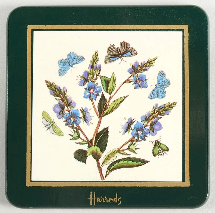 Botanic Garden Green Border Square Wood Coaster W/Felt Back by Portmeirion-1